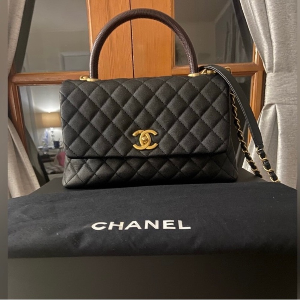 CHANEL Python-Trimmed Medium Coco Handle Bag - Picture 3 of 10